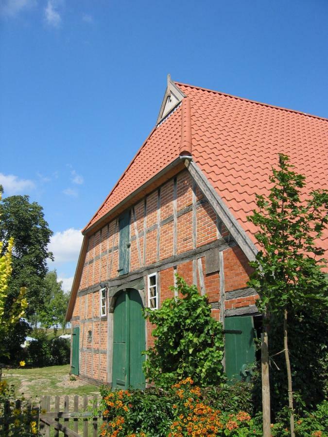 Ferienwohnung Am Elbdeich Bleckede Luaran gambar
